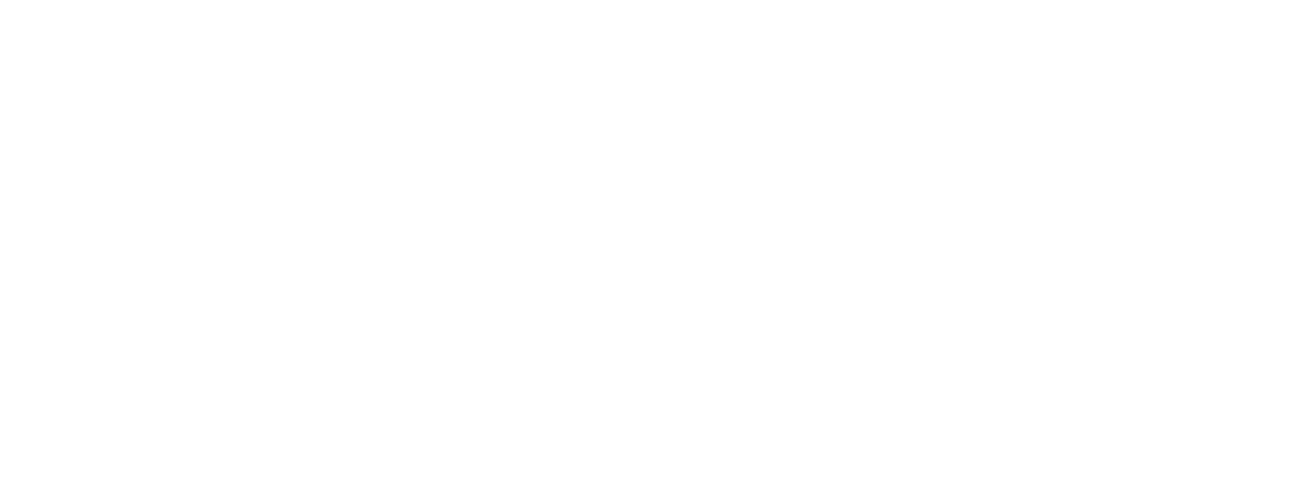 Copilot Med Raza